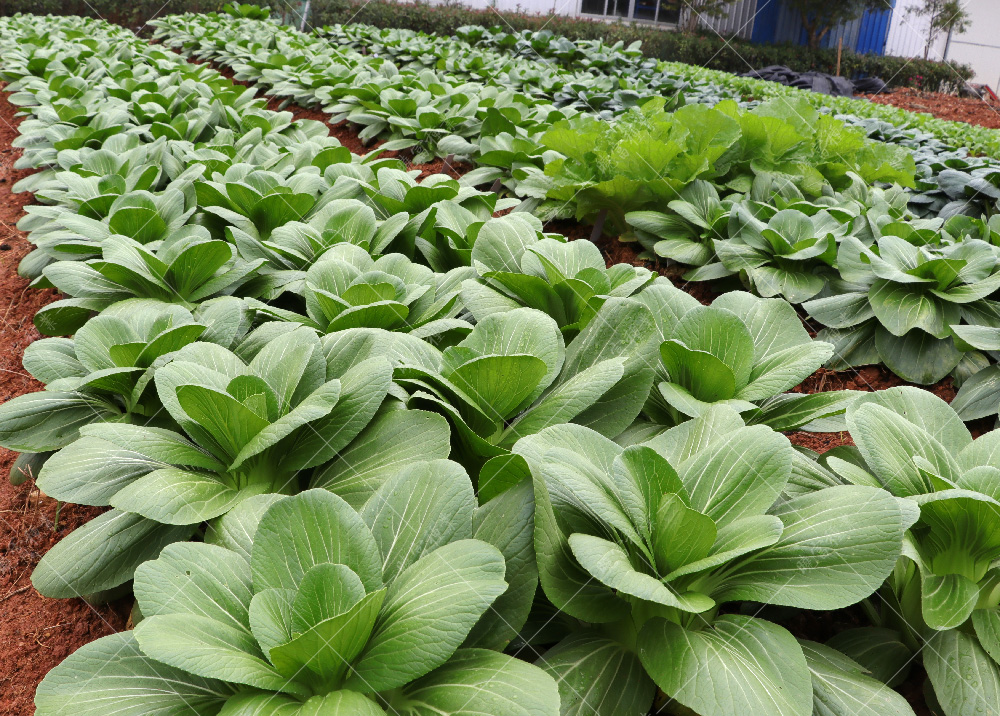 1557882907955668.jpg IMG_4150.jpg