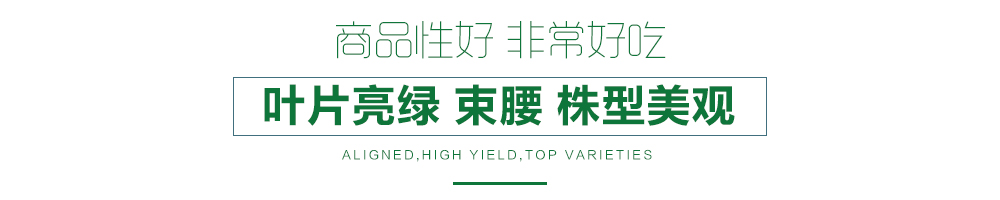 1557883406619328.jpg 詳情頁12.jpg