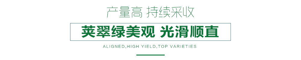 1557970114343154.jpg 詳情頁24.jpg