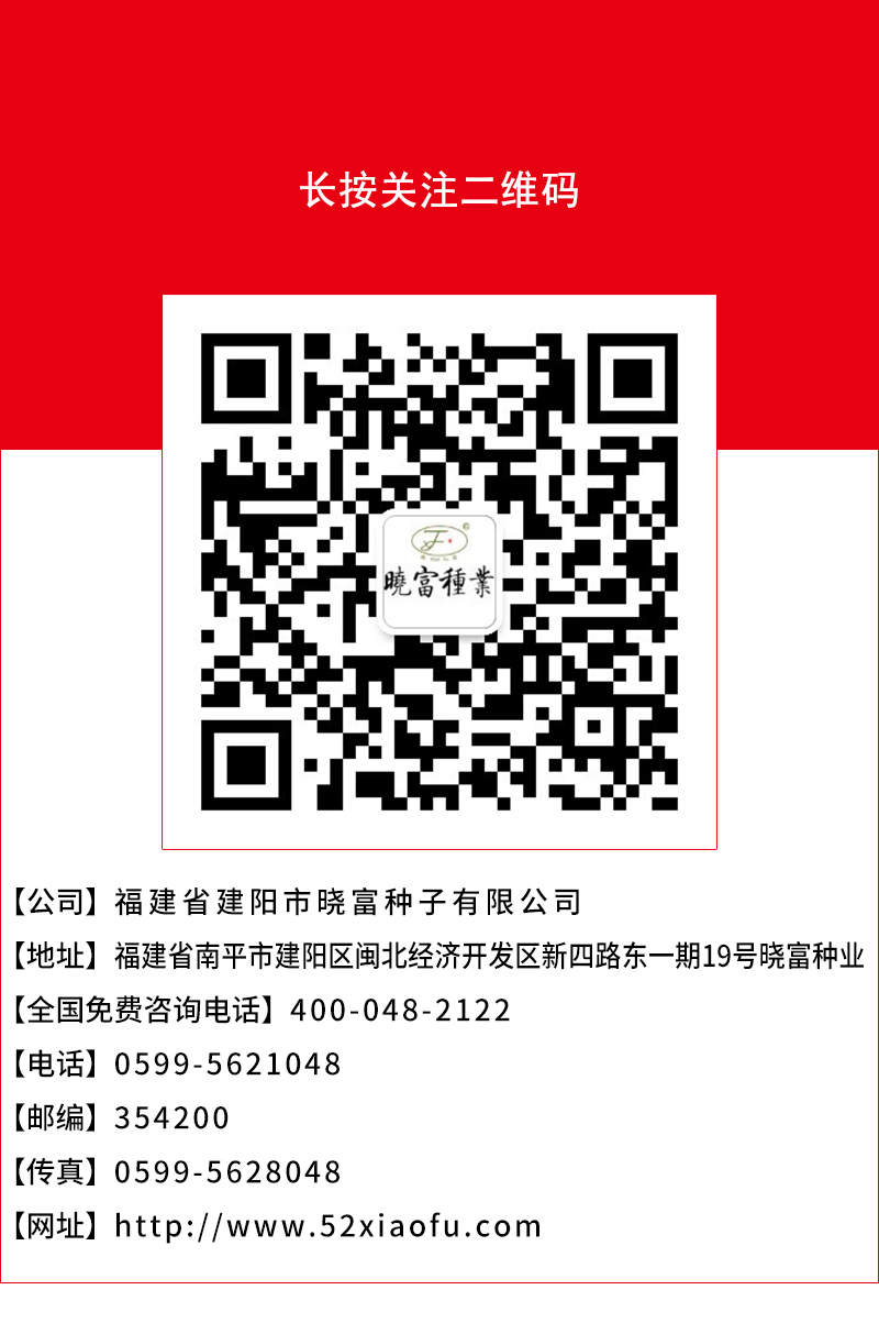 1600504025513665.jpg 頁底.jpg