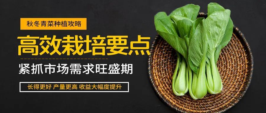 1608457120663704.png image.png