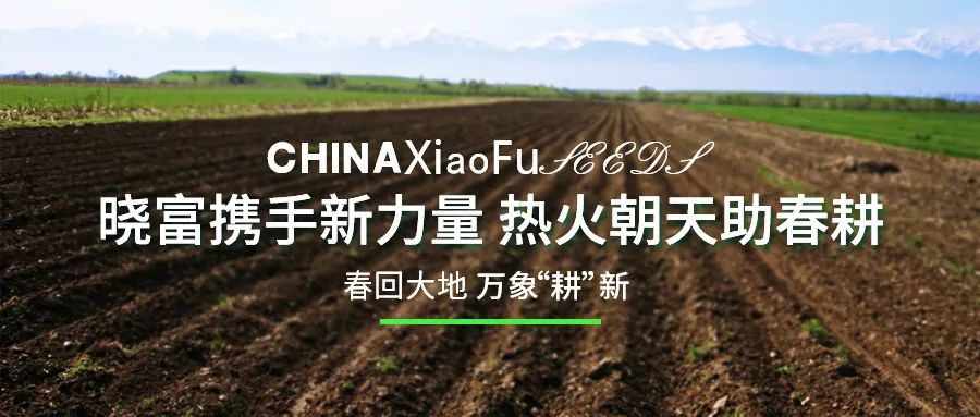 1646190403494157.jpg 01.jpg